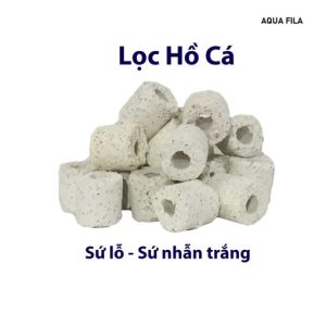 Sứ nhẫn lỗ vật liệu lọc nước hồ cá